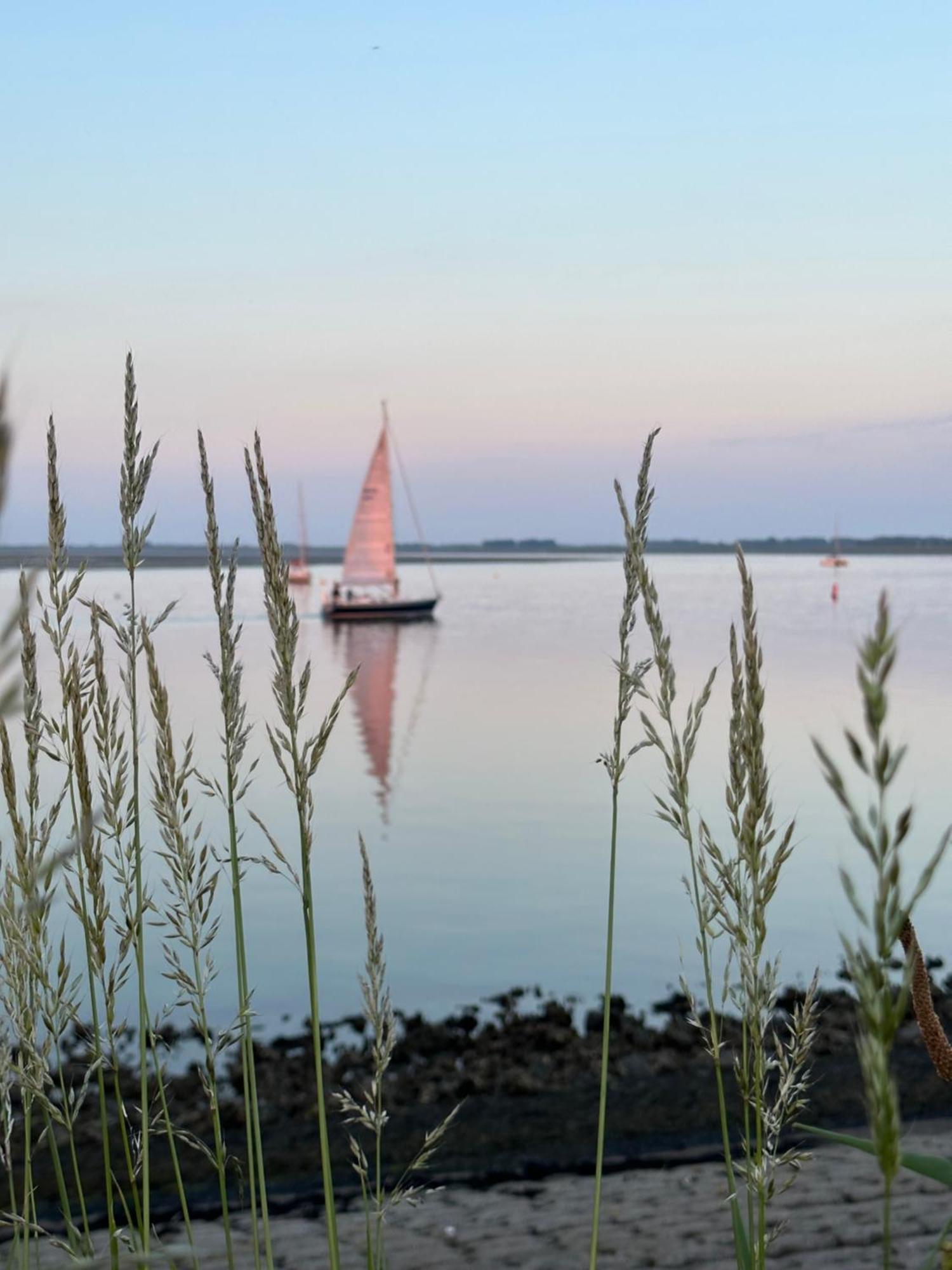 Vakantiewoning De Bosrand Aan Zee *